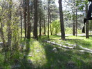 photo thumbnail #2