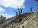 photo thumbnail #10