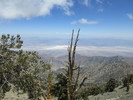 photo thumbnail #15