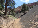 photo thumbnail #1