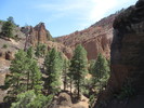 photo thumbnail #13