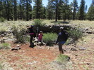 photo thumbnail #1