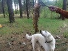 photo thumbnail #9