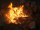 photo thumbnail #10