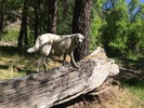 photo thumbnail #8