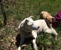 photo thumbnail #2