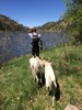 photo thumbnail #3