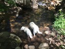 photo thumbnail #1
