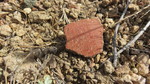 photo thumbnail #8