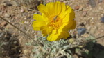 photo thumbnail #12