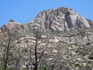 photo thumbnail #4