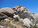 photo thumbnail #5