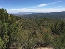 photo thumbnail #14