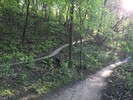 photo thumbnail #9