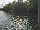 photo thumbnail #6