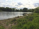 photo thumbnail #9