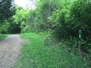 photo thumbnail #11