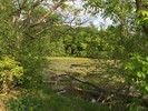 photo thumbnail #12