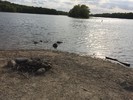 photo thumbnail #13