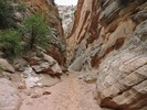 photo thumbnail #6