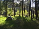 photo thumbnail #11