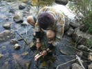 photo thumbnail #15