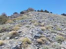 photo thumbnail #10