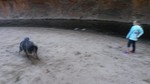 photo thumbnail #6