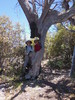 photo thumbnail #10