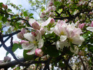 photo thumbnail #6
