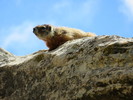 photo thumbnail #12