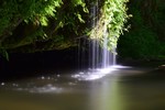 photo thumbnail #11