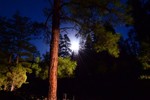 photo thumbnail #15