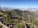 photo thumbnail #4