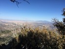 photo thumbnail #7
