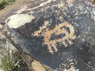 photo thumbnail #5