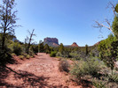 2016-05-22 :1: Twin Buttes Loop via the Hogs :: tibber