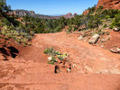 photo thumbnail #5