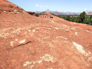 photo thumbnail #12