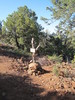 photo thumbnail #13