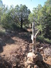 photo thumbnail #15
