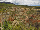 photo thumbnail #6