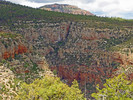 2016-04-29 :1: North Fork Devils Chasm Overlooks :: Grasshopper