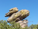 photo thumbnail #2