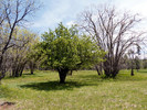 photo thumbnail #4