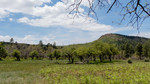 photo thumbnail #8