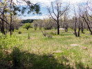 photo thumbnail #11