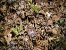 photo thumbnail #15