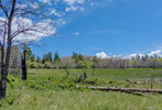 photo thumbnail #12