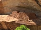 photo thumbnail #14